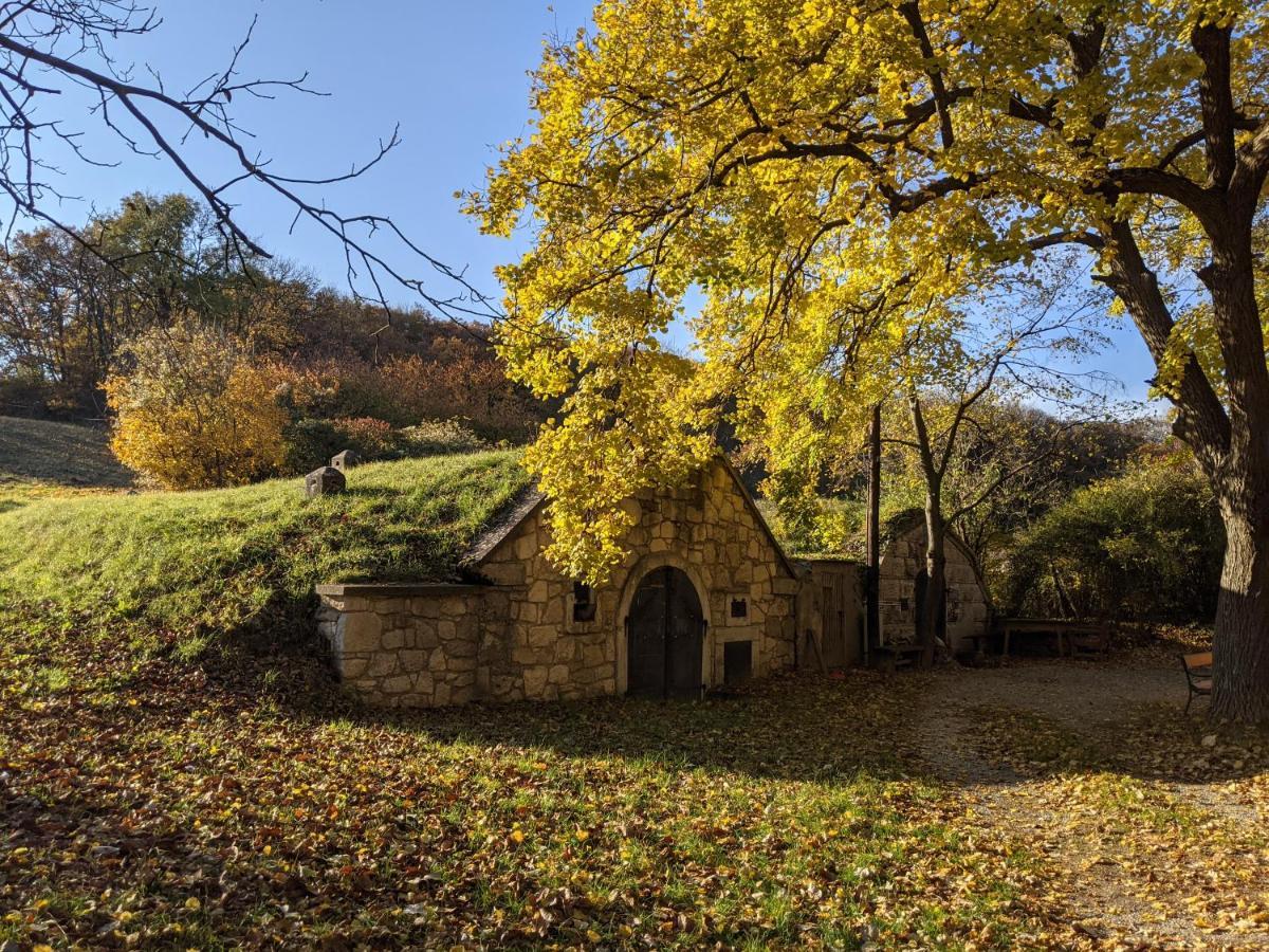 Вілла Bonito - Historischer Streckhof Schuetzen am Gebirge Екстер'єр фото